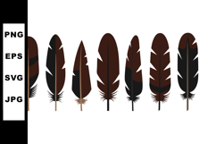 Brown and black feathers set vector illustration with natura Product Image 1
