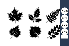 Black and white silhouette vector of six different leaf sha Product Image 1