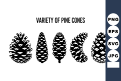 Variety of pine cones silhouette black and white nature bot Product Image 1