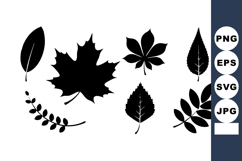 Black silhouette leaves vector with various shapes and styl Product Image 1