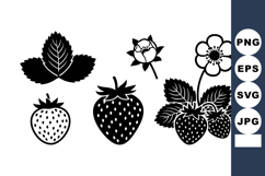 Strawberry fruit plant leaves flowers and berries vector bla Product Image 1