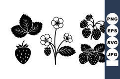 Strawberry plant vector with leaves flowers and fruit isolat Product Image 1