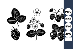 Strawberry plant parts including leaves flowers and fruit de Product Image 1