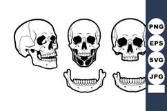 Human skull anatomy vector showing lateral frontal and mandi Product Image 1