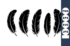Black feathers vector with detailed shapes and natural curv Product Image 1