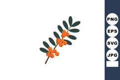 Sea buckthorn branch with orange berries and green leaves is Product Image 1