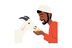A man feeding a white goat with straw in a friendly interact Product Image 1