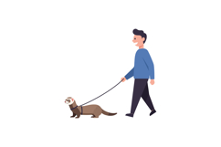 A man walking a ferret on a leash in a flat, minimal style v Product Image 1
