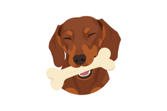 Happy brown dog with a bone in mouth, flat vector illustrati Product Image 1