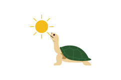 A cheerful turtle basking under a bright sun in a minimal fl Product Image 1