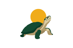Green turtle basking under a bright sun in minimal vector ar Product Image 1
