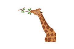 Giraffe reaching for leaves with a playful expression in fla Product Image 1