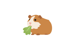 Cute guinea pig nibbling on green lettuce in a flat vector i Product Image 1