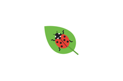 A cheerful ladybug resting on a vibrant green leaf in flat v Product Image 1