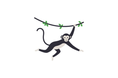 Playful monkey swinging on a branch in a minimal style vecto Product Image 1
