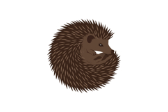 A cute hedgehog curled up in a ball with detailed spikes in Product Image 1