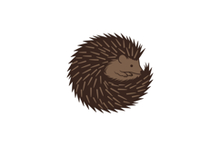 A cute hedgehog curled up in a cozy position with a minimal Product Image 1
