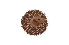 Cute hedgehog curled in a ball with detailed spines in a min Product Image 1