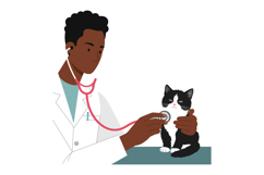 A veterinarian examining a black and white cat with a stetho Product Image 1