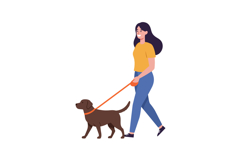 Woman walking a brown dog on a leash in a flat vector illust Product Image 1