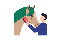 A person grooming a horse with a green mane in flat vector i Product Image 1