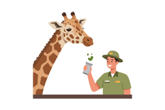 Giraffe interacting with zookeeper in flat, cheerful vector Product Image 1