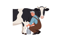 Farmer milking a black and white cow in a flat, minimal styl Product Image 1