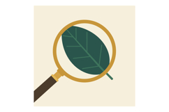 Magnifying glass inspecting green leaf close-up nature explo Product Image 1
