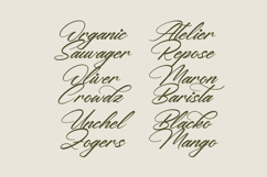 Yeliska Dasmithe Stylish Calligraphy Font Product Image 8