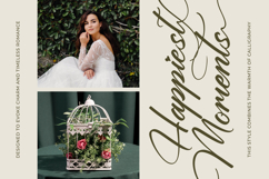 Yeliska Dasmithe Stylish Calligraphy Font Product Image 16