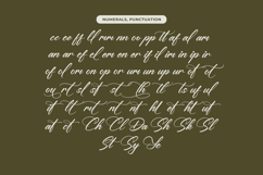 Yeliska Dasmithe Stylish Calligraphy Font Product Image 17