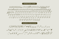 Yeliska Dasmithe Stylish Calligraphy Font Product Image 19