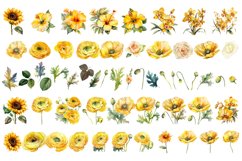 Yellow flower. Watercolor clipart collection Product Image 2