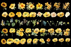 Yellow flower. Watercolor clipart collection Product Image 3
