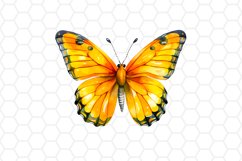 Yellow Watercolor Butterfly Clipart