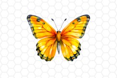 Yellow Watercolor Butterfly Clipart