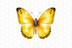 Yellow Watercolor Butterfly Clipart