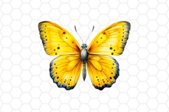 Yellow Watercolor Butterfly Clipart