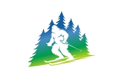 Yeti Ski Product Image 2