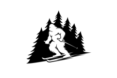 Yeti Ski Product Image 3
