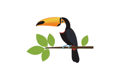 Colorful toucan perched on branch in flat vector art style v Product Image 1