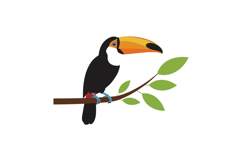 Colorful toucan perched on branch in flat vector art style v Product Image 1