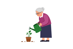Elderly woman watering a plant in flat vector illustration Product Image 1