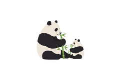 Cute panda family enjoying bamboo in flat vector illustratio Product Image 1