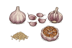 Garlic Bulbs Cloves and Minced Garlic in Natural Colors Culi Product Image 1