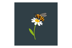 Bee perched on white daisy flower with green stem vector ill Product Image 1