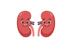 Two happy human kidneys with cartoon faces smiling friendly Product Image 1