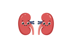 Cute cartoon human kidneys with happy faces in flat design s Product Image 1