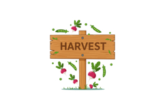 Wooden harvest sign with fresh radishes and green pea pods f Product Image 1
