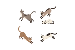 Various playful and resting domestic cats in flat style with Product Image 1